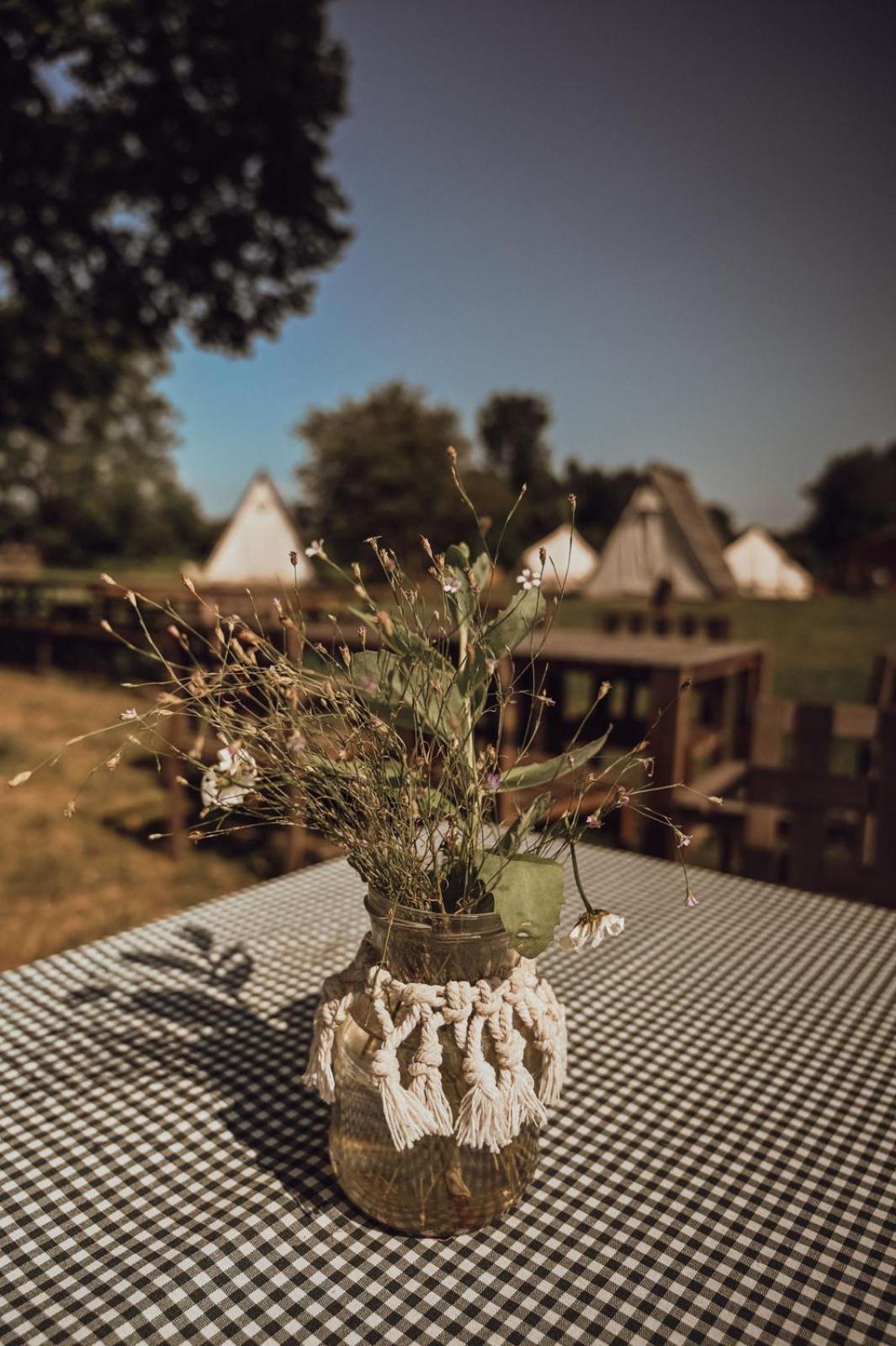 Greenvalleyglamping Sesce Pri Preboldu Екстериор снимка